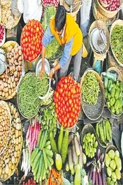 India wholesale price inflation dips to -0. 13percent in June2