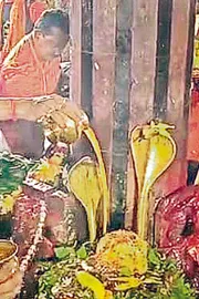 Sravana Masam 2025: Shivabhishekam is the ritual of bathing the Shiva Lingam3