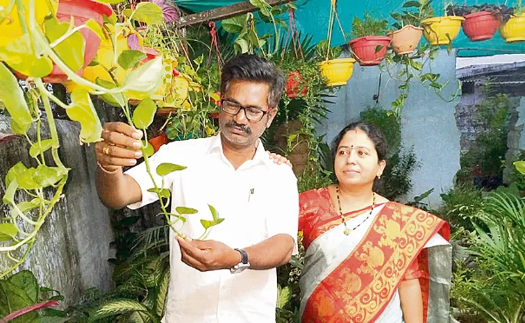 meet  this couples love for gaden and spent one lakh per anum at  Godavarikhani1