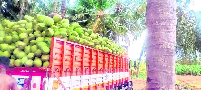 కొబ్బ