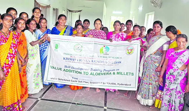 అలోవెరా సాగుతో అధిక ఆదాయం