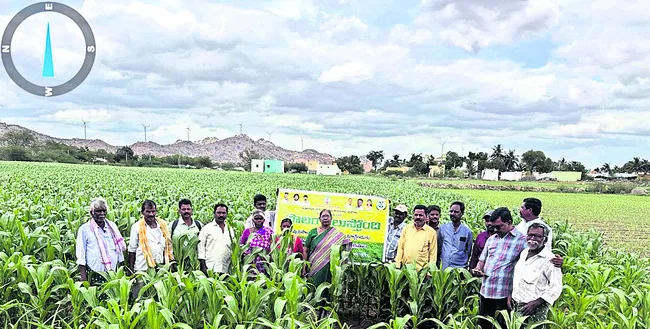 విధుల