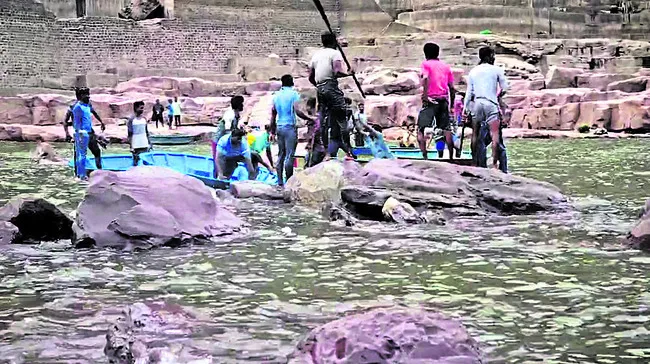 చేప కోసం ఘర్షణ