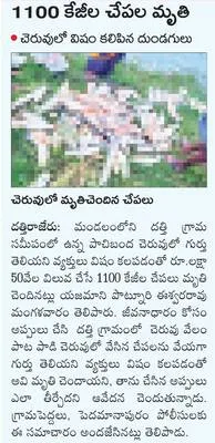 పెద్ద