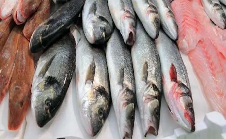 Rainy Season Diet: Can you eat fish during monsoons