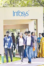 Infosys Foundation launched Springboard Livelihood Program for unemployed youth2