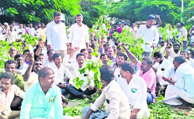 సీడ్‌