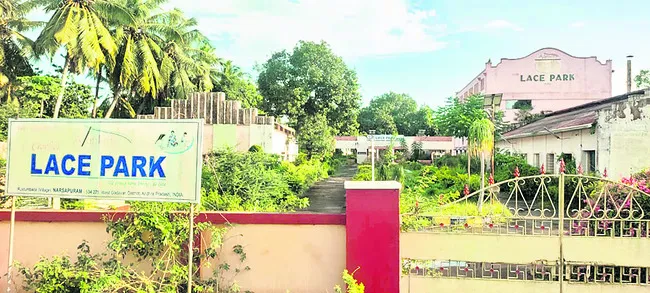 లేసు.