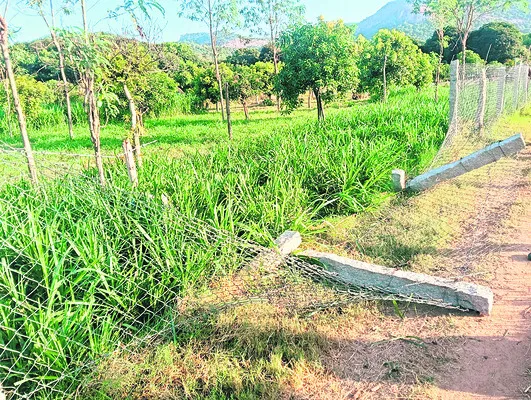 వైకుంఠం క్యూకాంప్లెక్స్లో జారిపడిన భక్తుడు