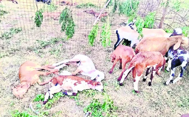 ఆగిఉన