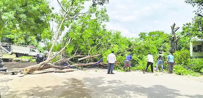 చురుగ్గా జాతీయ రహదారి పనులు