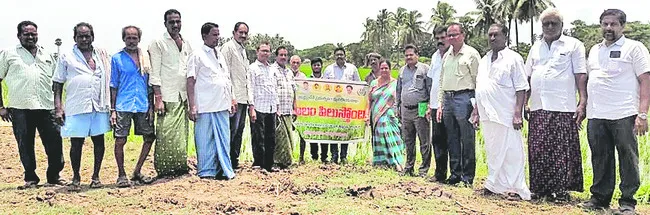 నూతన సాంకేతికతతో సాగు