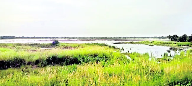 కాలం.