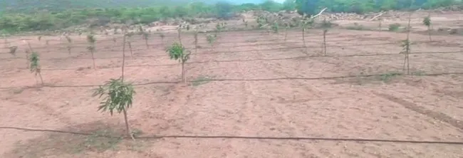 జవాన్