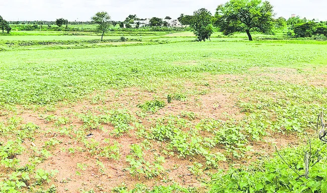 వరుణుడా.. కరుణించవా!
