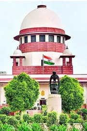 Supreme Court Orders Hunt For Russian Woman8