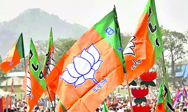 బీజేపీలో క్రిప్టో మంటలు!