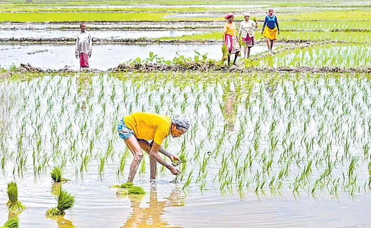 Union Cabinet approves the Prime Minister Dhan-Dhaanya Krishi Yojana2