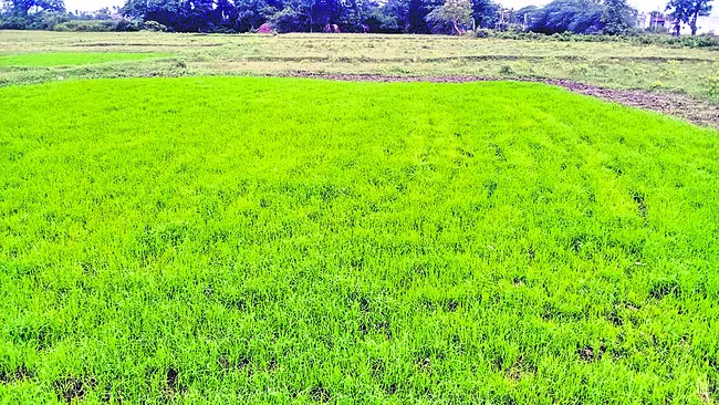 ఊరిస్తోంది ఇంకా!