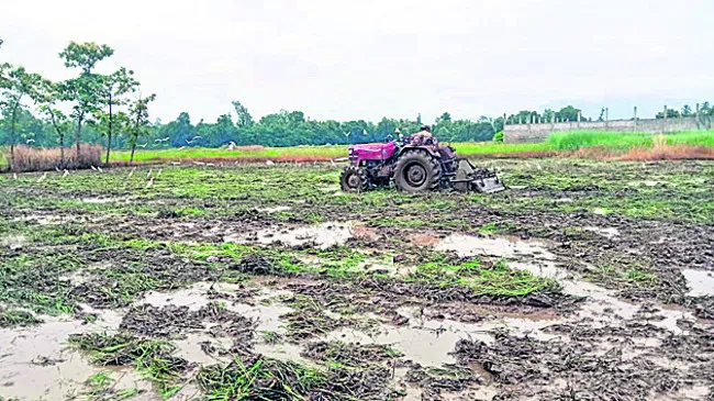 టిడ్కో ఇళ్ల నిర్మాణాలను త్వరగా పూర్తిచేయండి