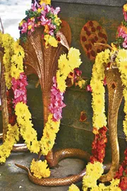 Tamil Nadu: Rahu Kethu temple Thirupampuram Pambunathar full deets inside4
