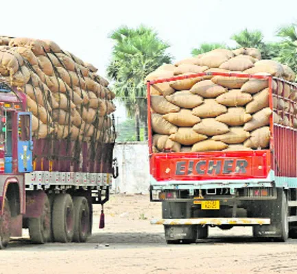 పడిపోయిన సన్నబియ్యం ధరలు 