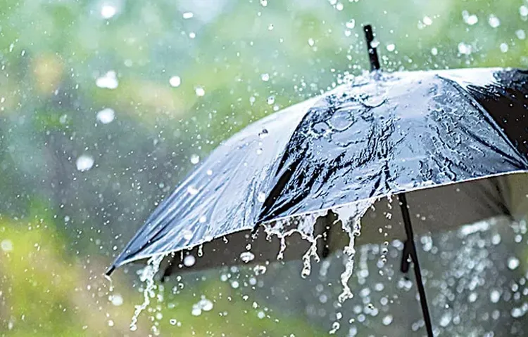 Rain forecast again for the state6