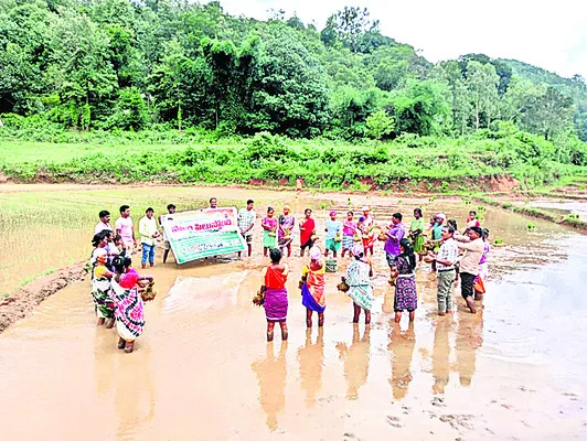 ప్రకృతి సాగుతో అధిక దిగుబడి