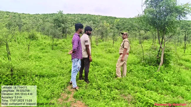 మేకల కొట్టంపై చిరుత పులి దాడి 