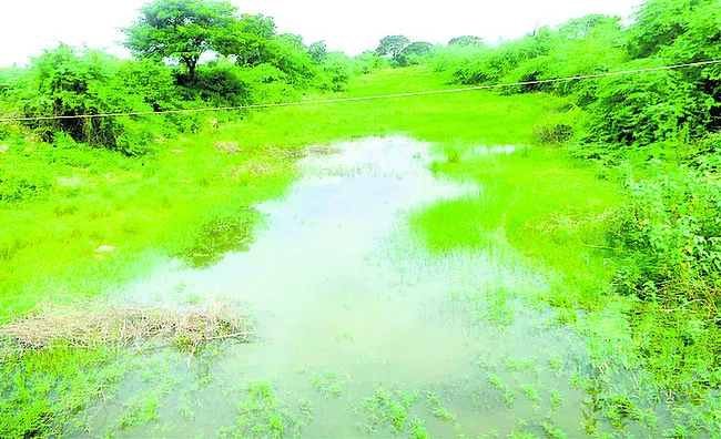 వెలవె