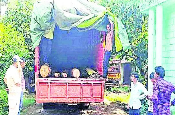 కలప దుంగలు తరలిస్తున్న ట్రక్కు పట్టివేత 