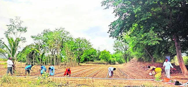 వినూత్న ప్రయోగం