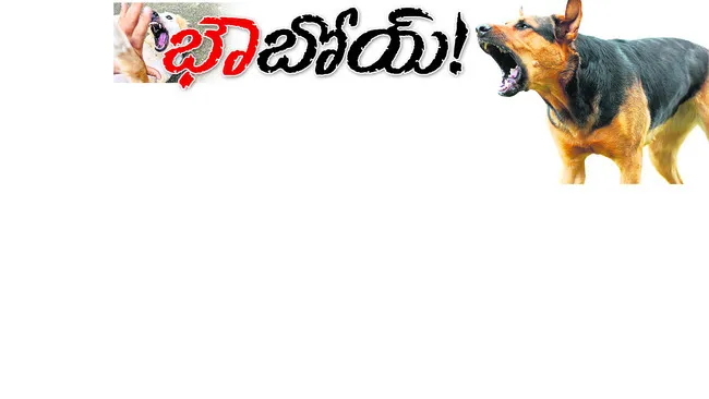 ● జిల