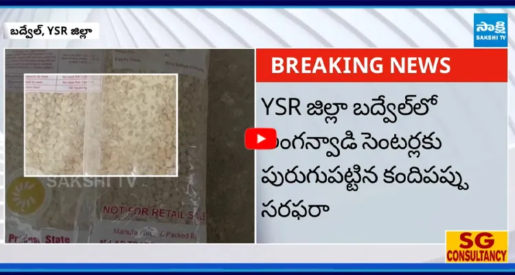 YSR జిల్లా బద్వేల్‌లో అంగన్వాడి సెంటర్లకు పురుగుపట్టిన కందిపప్పు సరఫరా