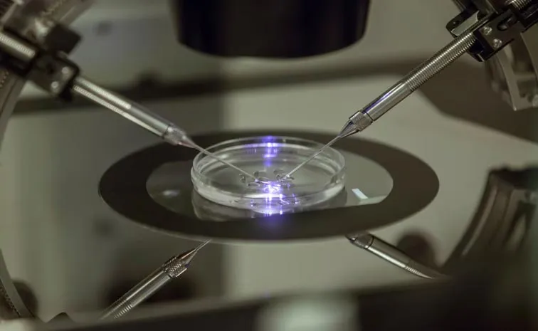 Babies from three peoples DNA prevents hereditary disease