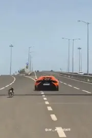 Stray Dog Blocks Lamborghini On Mumbai Street, Video Goes Viral5