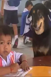Adorable Dog Offers Paw While Sitting Beside Schoolchild Goes Viral 6