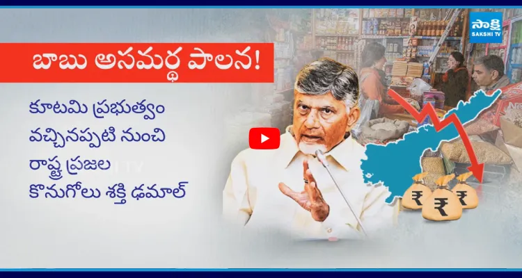 CAG Report: ఏపీ ఆర్థిక వ్యవస్థ అస్తవ్యస్తం.. బాబు పాలనపై కాగ్ నివేదిక