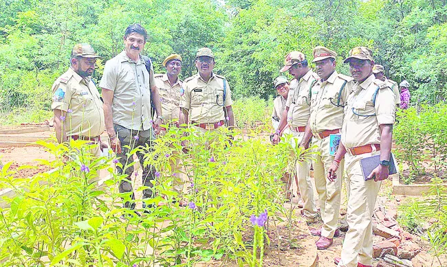 ‘సీతా