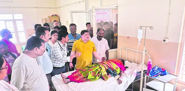 పచ్చదనం పక్కాగా చేపడదాం 