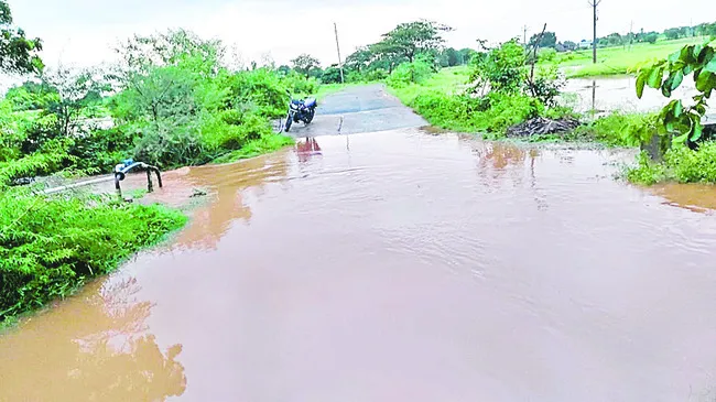 కురిసిన వాన.. మురిసిన రైతన్న