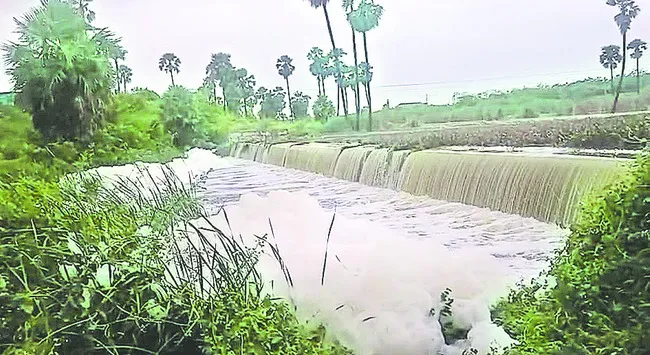 భారీ వర్షం.. రైతన్న హర్షం 