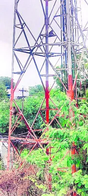కోతి దాడిలో  12 మందికి గాయాలు 