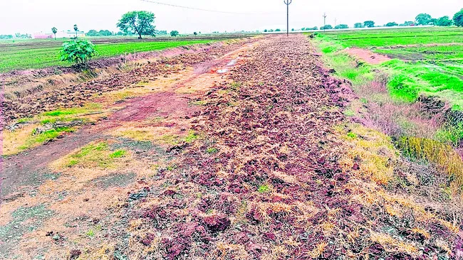 రోడ్డును దున్నేసి.. పంటను సాగు చేసి!