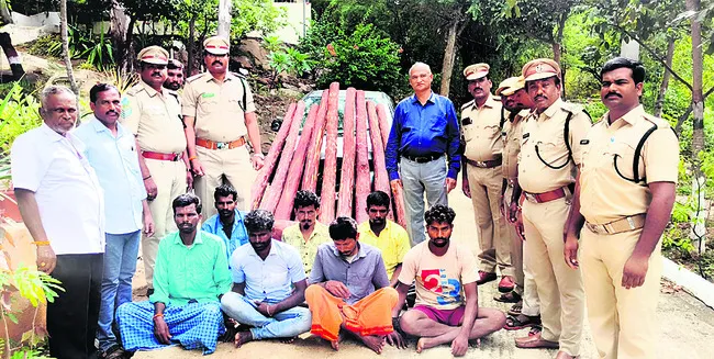 రూ.20 లక్షల విలువైన ఎర్రచందనం స్వాధీనం