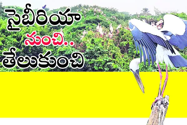 విడిద