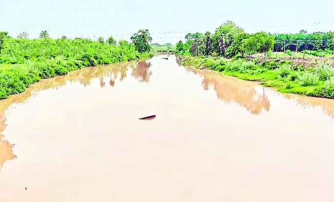 పెదవా
