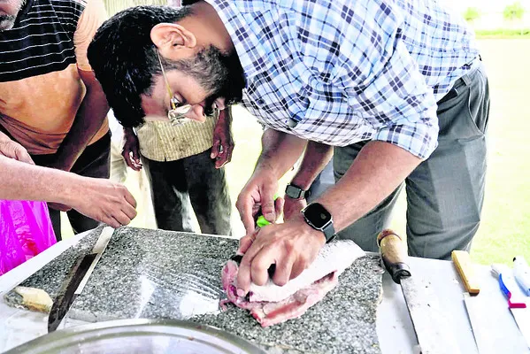 బోన్