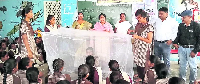 దోమలను నివారించాలి