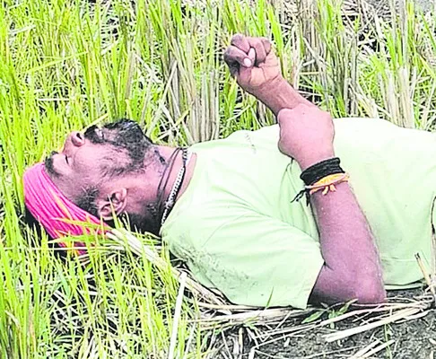 మోటార